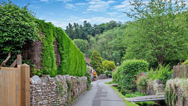 Una stretta strada costeggiata da muri di pietra e rigogliosa vegetazione, che conduce a un pittoresco villaggio con case tradizionali.