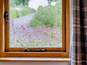 Ein Fenster mit Blick auf eine Straße und Grünflächen.