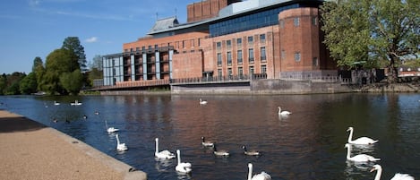 A riverside view with swans and a modern building with large windows.