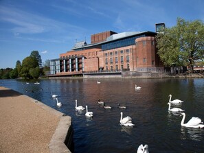 Blick auf einen Fluss mit Schwänen und einem modernen Gebäude mit großen Fenstern.