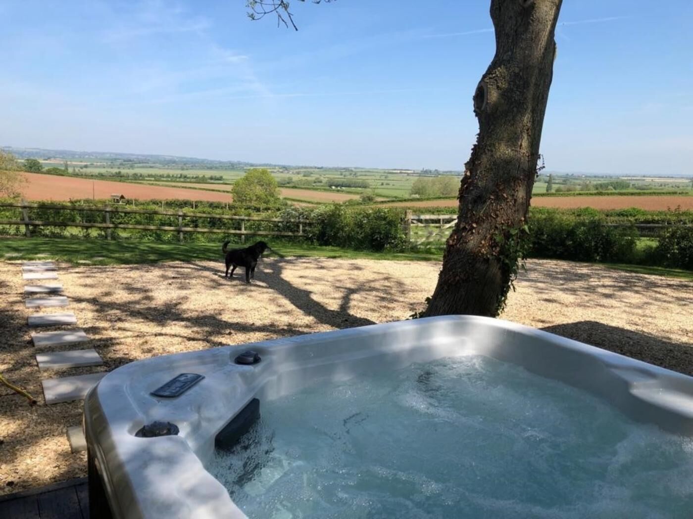 A hot tub with a clear view of a dog in a field.