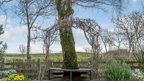 Een bank onder een boom in een tuin met een pad van stenen.