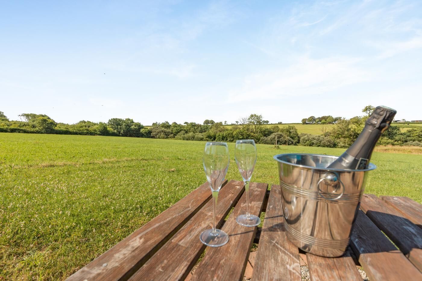 A wooden table with two empty wine glasses and a metal bucket containing a bottle, set against a grassy field with trees in the background.