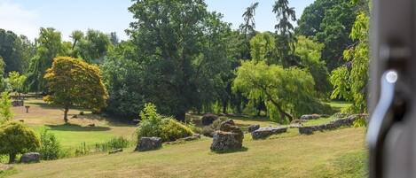 Un paisaje natural con árboles, rocas y una zona cubierta de hierba.
