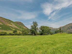 Ein grasbewachsenes Feld mit Bäumen und Hügeln im Hintergrund.