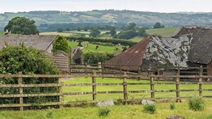 Een landelijk landschap met traditionele gebouwen, een houten omheining en grazende koeien.