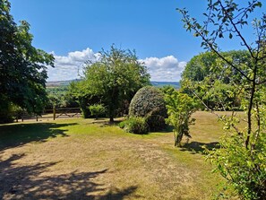 Eine grüne Rasenfläche mit Bäumen und blauem Himmel.
