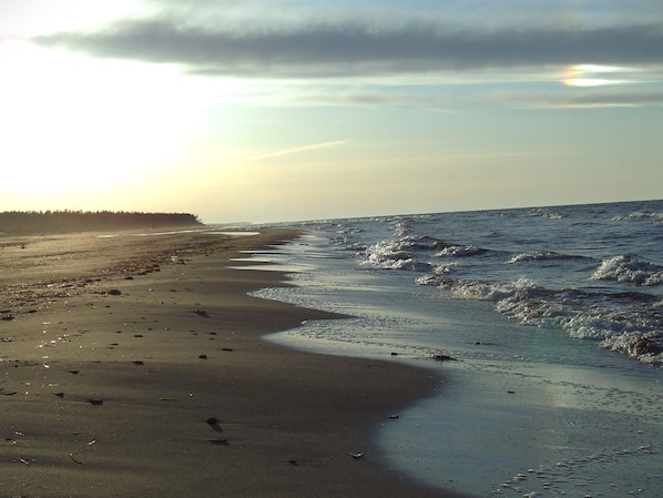 Strand