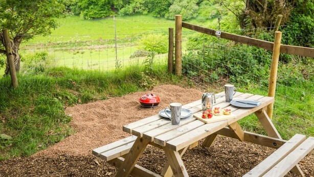 Una mesa de picnic con vista a un campo verde y árboles.