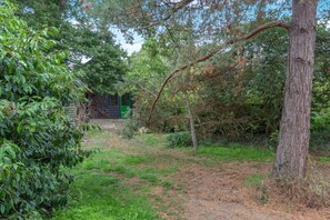 A natural outdoor area with a dirt path, dense greenery, and a wooden structure in the background. - 1 Bed in Eye- (oc-34390) (Stoke Ash)