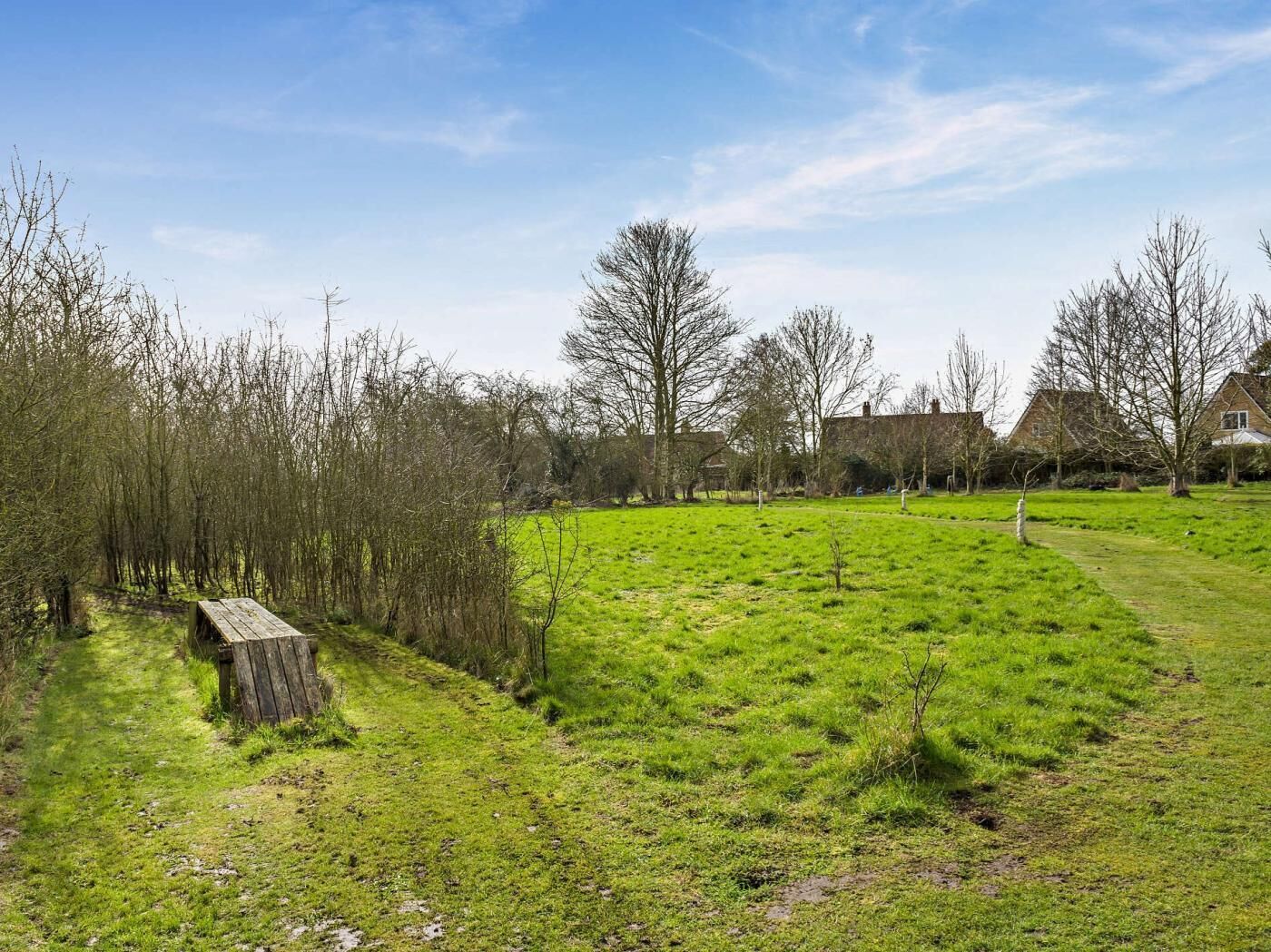 A grassy field with a wooden bench and leafless trees, surrounded by houses.