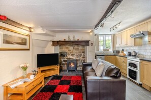 A living room with a fireplace, a television, a sofa, and a kitchen area with modern appliances. - 3 Bed in Barnstaple (oc-wayco) (Shirwell)