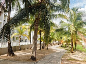 A pathway lined with palm trees and a building with balconies. - The Nautique - Loft front beach (Arraiján)