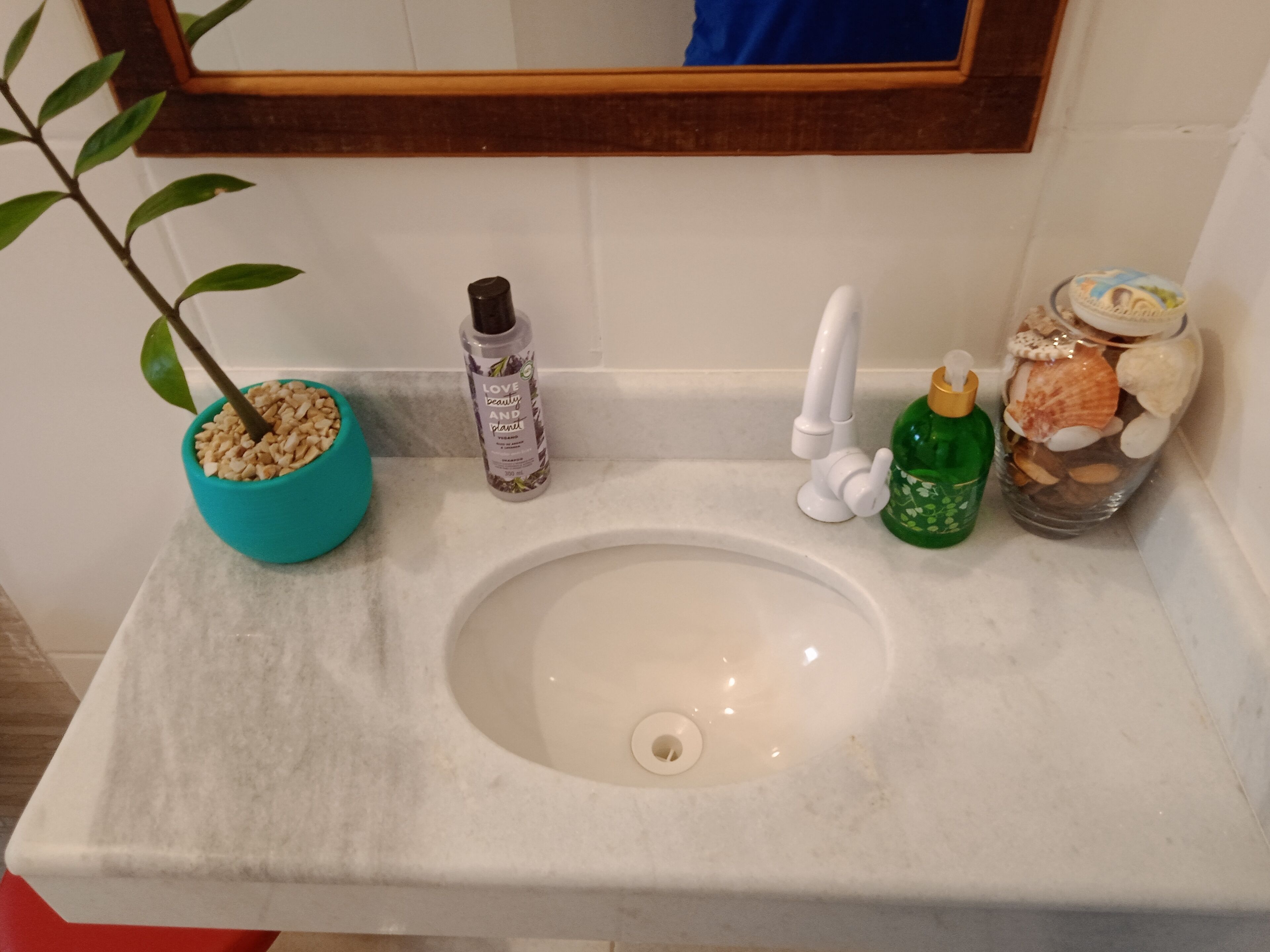 Un lavamanos con un espejo, una planta en maceta, una botella de champú y un frasco con caracolas.