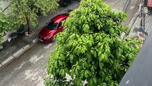 A street view with a red car parked on the side, trees lining the road, and buildings in the background.