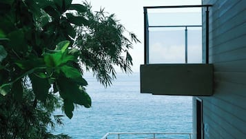Superior Twin Room, Balcony, Sea View | View from room