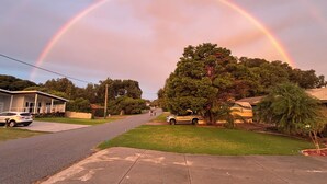 Eine Wohnstraße mit Häusern, einem Baum und einem Regenbogen.