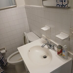 Kylpyhuone, jossa on valkoinen pesuallas, peili, wc ja suihkutila.