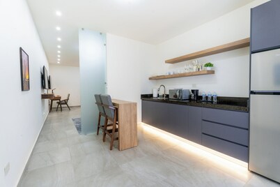 Apartment Executive Summary 2 min. Downtown and 3 min. CAS