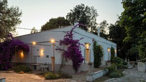 A white building with a stone pathway leading to it, surrounded by greenery and purple flowers. - Dimora Lustrelle con parco privato (Cutrofiano)