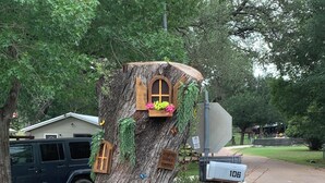 Une cabane dans les arbres avec une porte et des fenêtres en bois, entourée de verdure et dotée d’une boîte aux lettres.