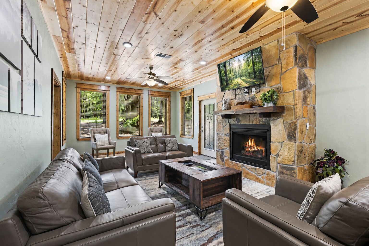 Smart TV, fireplace, books