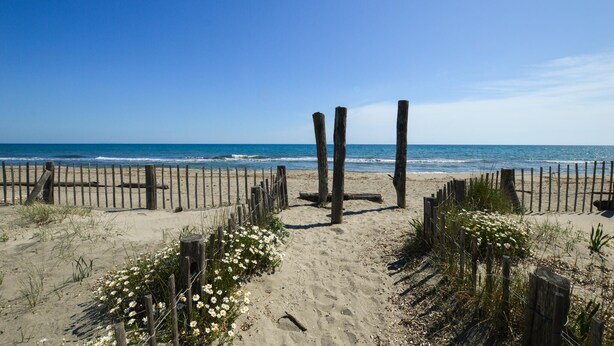 Ein sandiger Strand mit hölzernen Pfählen und einem Zaun, der zum Meer führt.