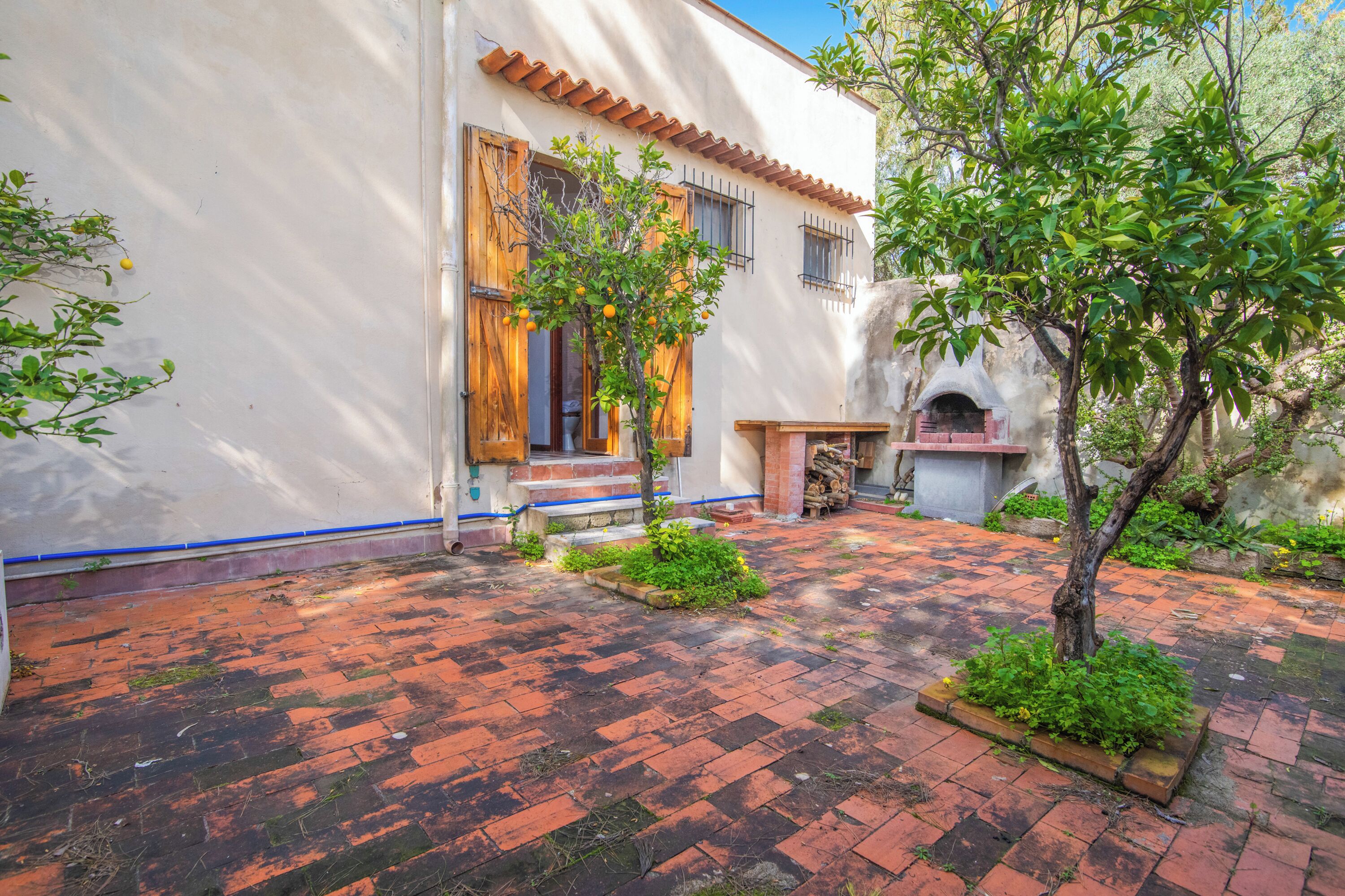 A courtyard with a tiled floor, a small tree, and a building with a tiled roof and wooden shutters.