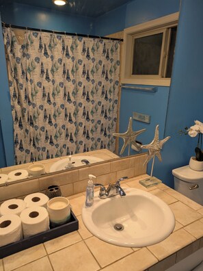 Secadora de cabello, toallas, jabón, papel de baño 