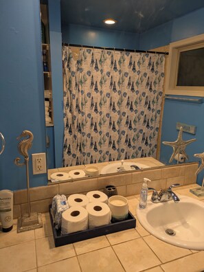 Bathroom - Cozy, remote-work ready 1-bedroom apartment in pleasant Portland with AC (Portland)