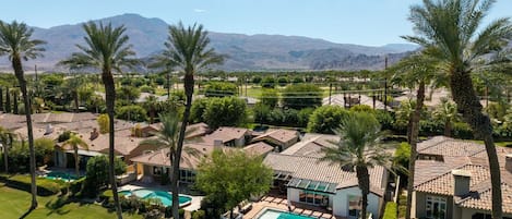 A residential area with multiple houses, a swimming pool, and palm trees.