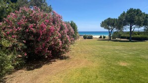 En græsplæne med en busk af lyserøde blomster, en klar blå himmel og udsigt til havet.