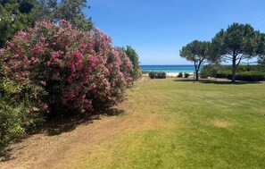 Property grounds - Cozy home in Costa Rei with WiFi (Costa Rei)