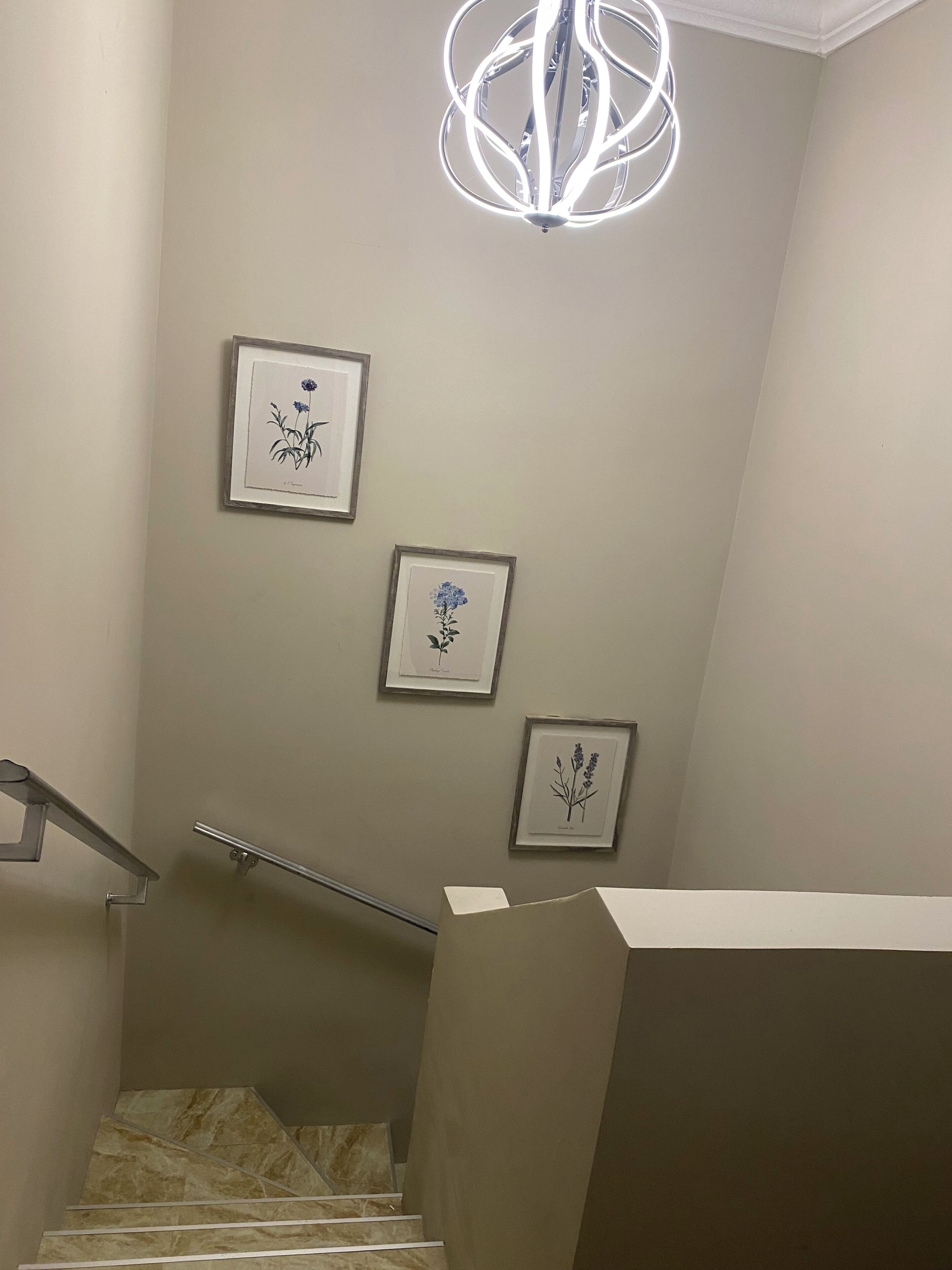 Eine Treppe mit Handlauf, einer Lampe und drei gerahmten Pflanzenabbildungen an der Wand.