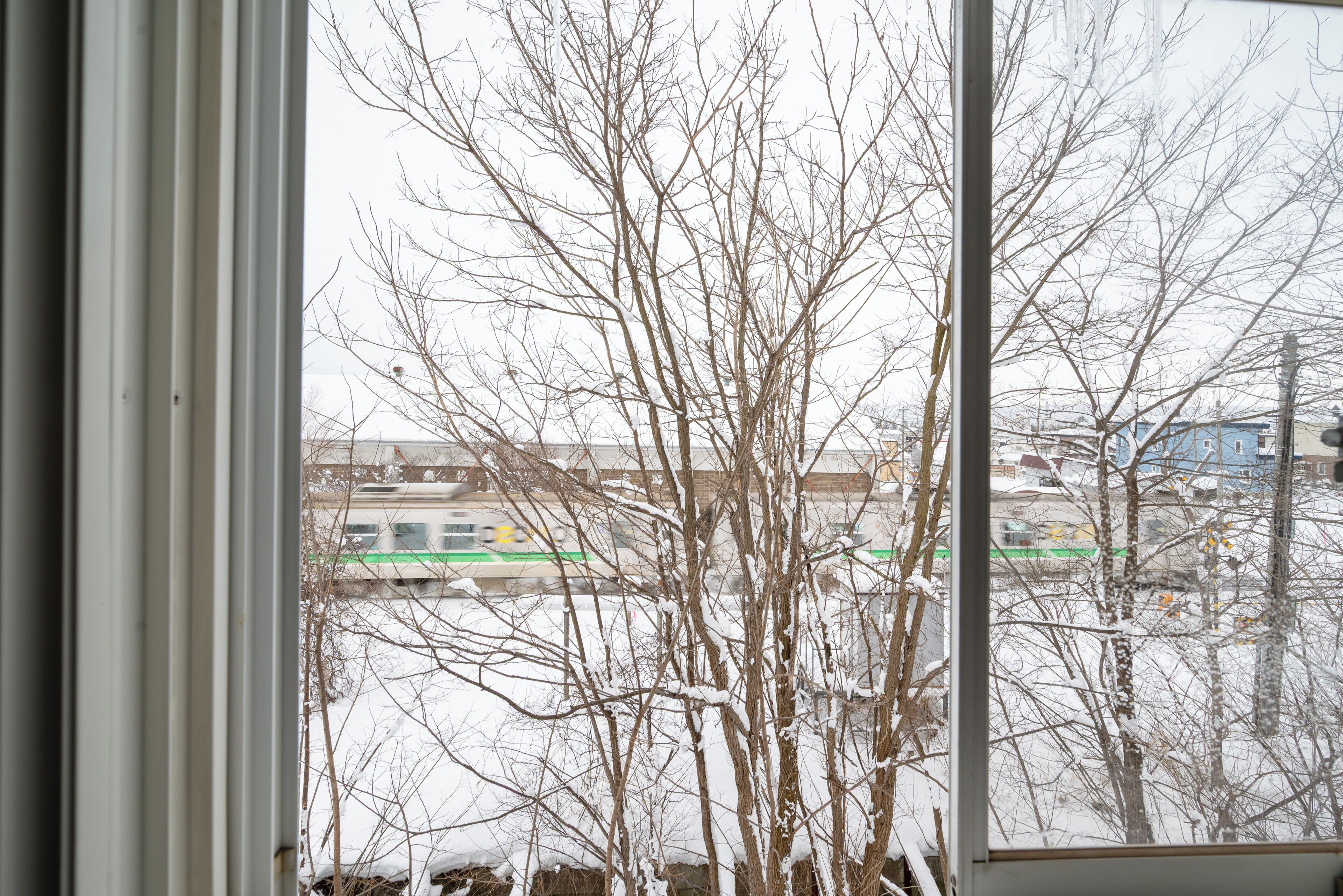 A view through a window with bare trees and a distant building.