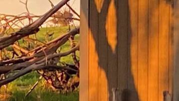 Entorno rústico al aire libre con una mesa de madera y una bañera blanca.
