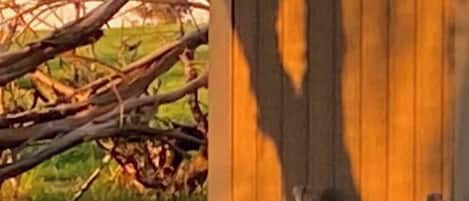 Entorno rústico al aire libre con una mesa de madera y una bañera blanca.