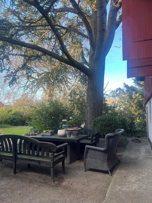 Un espace extérieur aménagé avec une table et des chaises, entouré d’arbres et d’un grand tronc d’arbre.