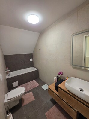 Bathroom - Charming 3-bedroom house with Jucuzzi and Sauna in excellent Domžale location (Domžale)