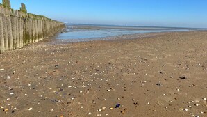 A beach with a wooden fence and scattered seashells. - Tiny house with garden near the Zeeland coast (Ellemeet)