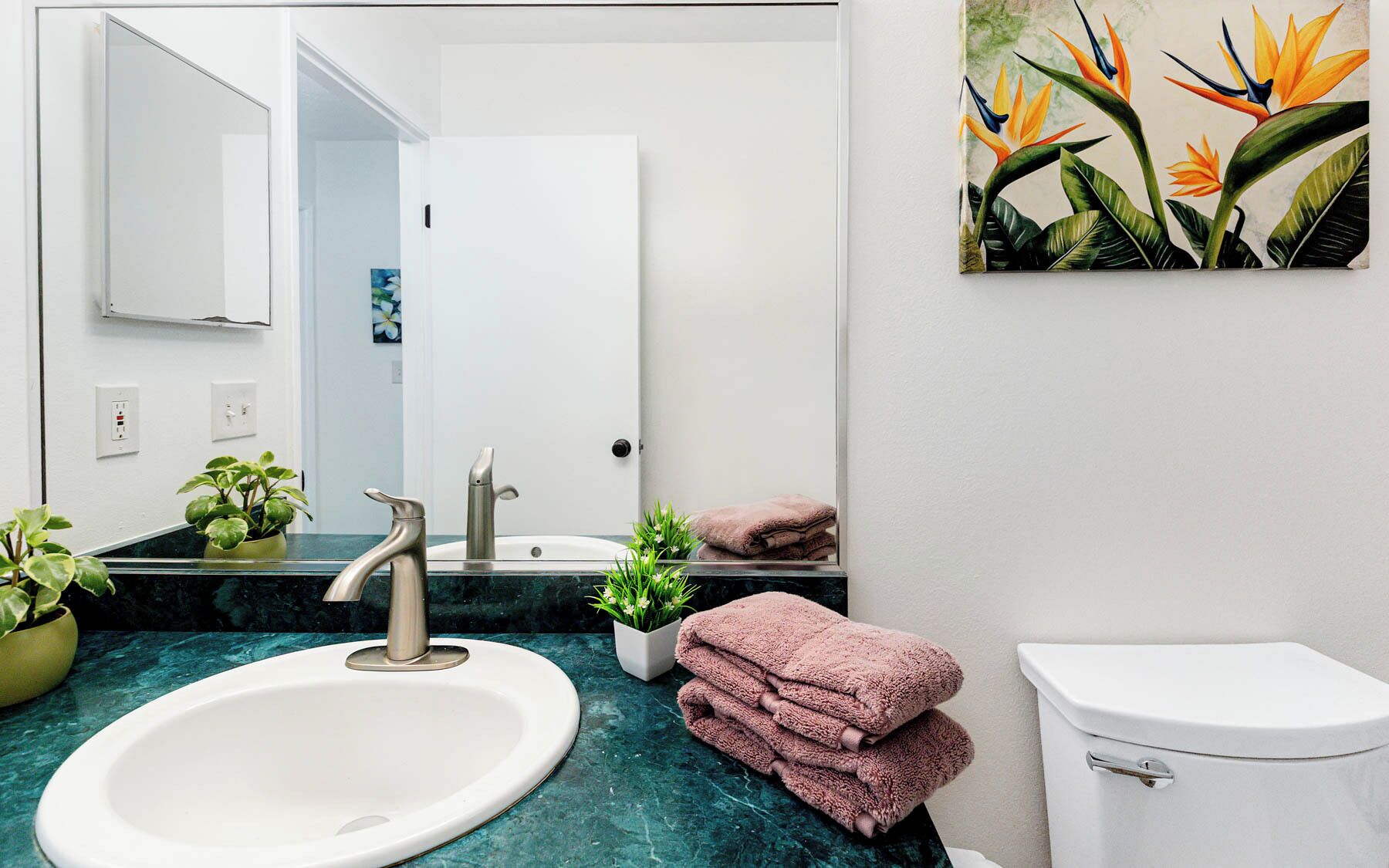 A bathroom with a white sink, a mirror, a toilet, and a painting of birds of paradise.