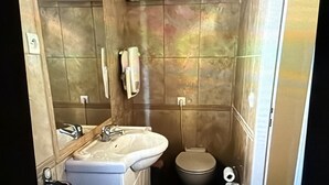 A bathroom with a sink, toilet, and mirror.