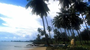 Uma praia com palmeiras, areal e mar calmo.