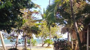 Um caminho que leva a uma praia com palmeiras e uma construção de palha.