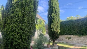 A residential garden with tall cypress trees, a stone wall, and a pathway. - The Sequoia... in the Countryside (Fondettes)