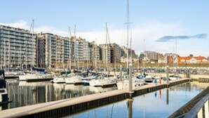 En småbåtshamn med förtöjda båtar, en strandpromenad och höga byggnader i bakgrunden.