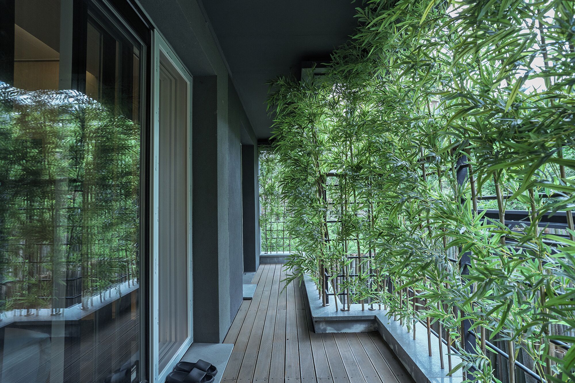 Mist Room 302 | Terrace/patio