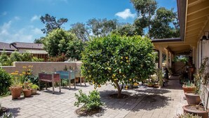 A courtyard with potted plants, a table, and a covered area with a pergola. - Mi Casa - Monterey Home - Del Monte Golf Course Frontage (Monterey)
