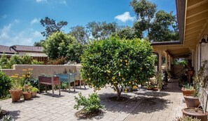 Ein Innenhof mit Blumentöpfen, einem Tisch und einem überdachten Bereich mit einer Pergola.
