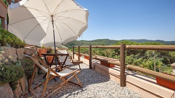 Terras
